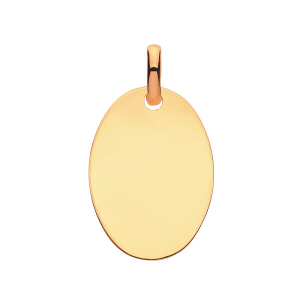 9ct Yellow Gold Oval Plain Pendant